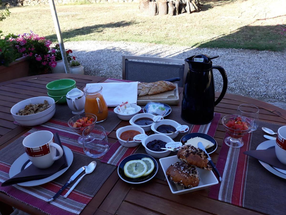 Chez Yvette , C'Est Chouette!! Bed & Breakfast Carcassonne Exterior foto