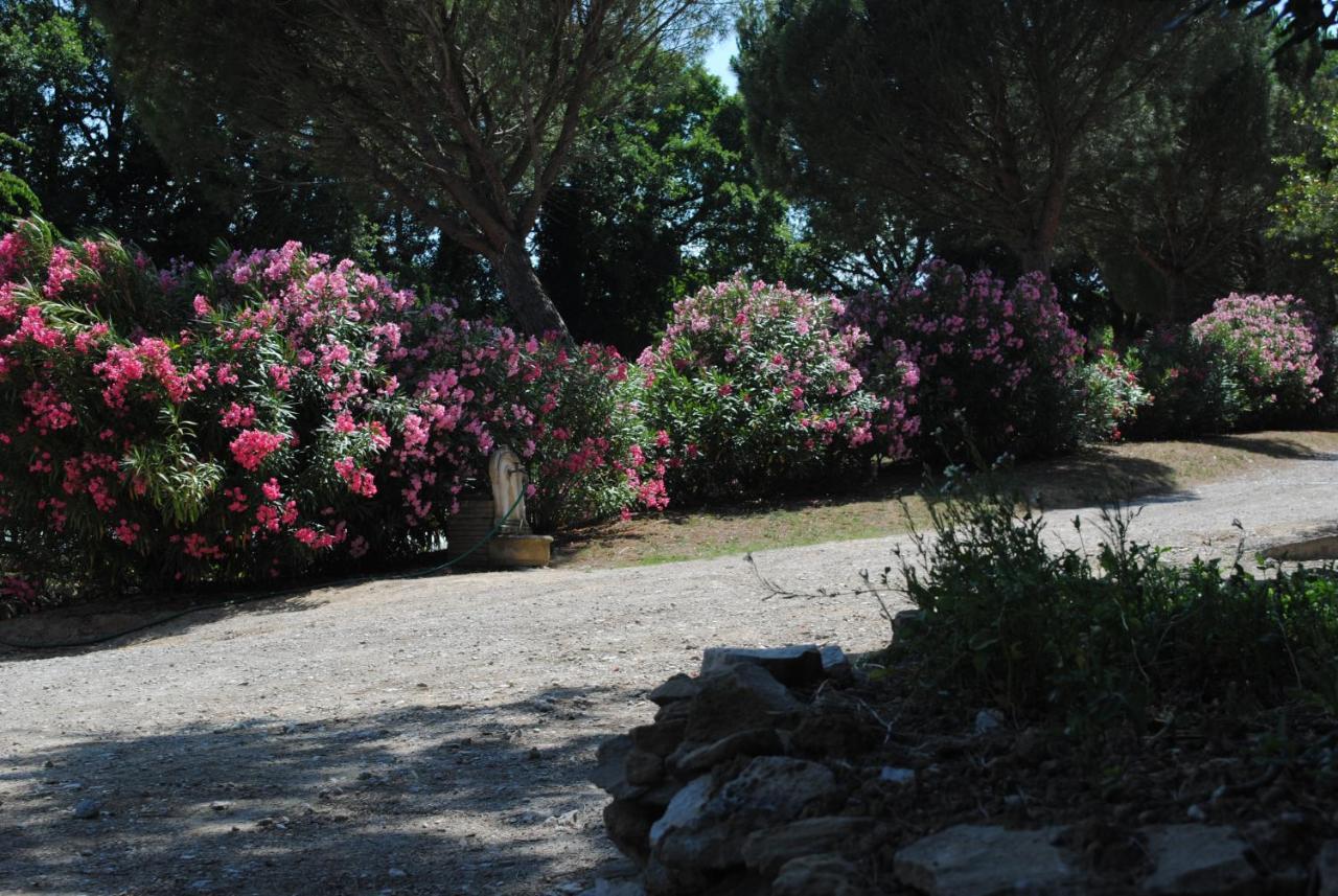 Chez Yvette , C'Est Chouette!! Bed & Breakfast Carcassonne Exterior foto