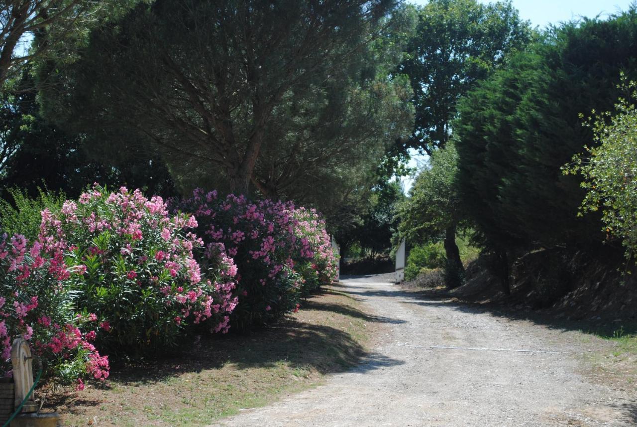 Chez Yvette , C'Est Chouette!! Bed & Breakfast Carcassonne Exterior foto