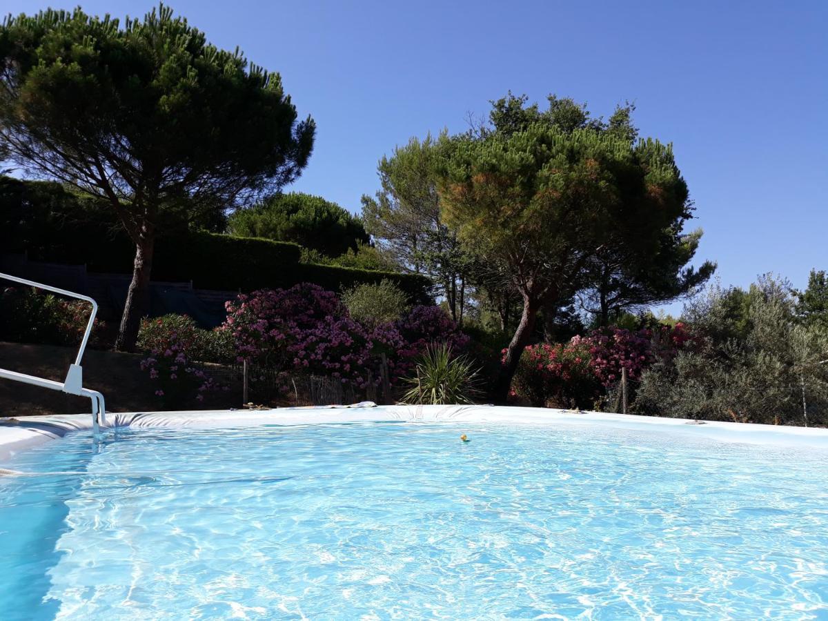 Chez Yvette , C'Est Chouette!! Bed & Breakfast Carcassonne Exterior foto
